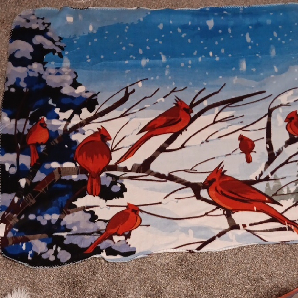 Source Unknown Blue and Red Cardinal Blanket